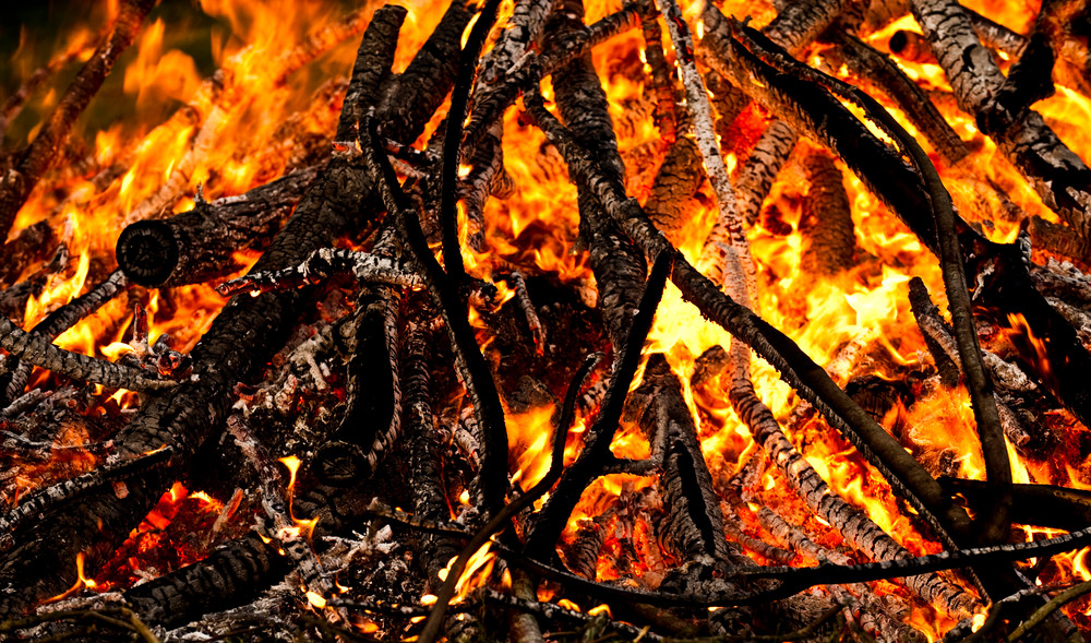 Den Hans, som lægger navn til Sankt Hans, er Bibelens Johannes Døberen